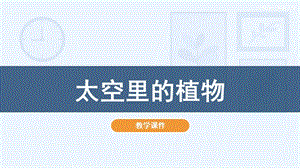人教版一年級(jí)下冊(cè)美術(shù)11《太空里的植物》教學(xué)課件.pptx