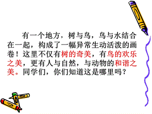 部編版五年級上冊語文《鳥的天堂》公開課課件（河南趙老師部級優(yōu)課）.ppt
