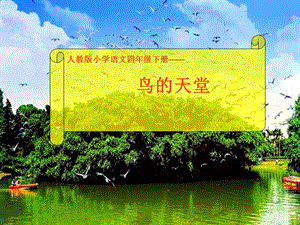部編版五年級上冊語文《鳥的天堂》公開課課件（河北王老師部級優(yōu)課）.ppt