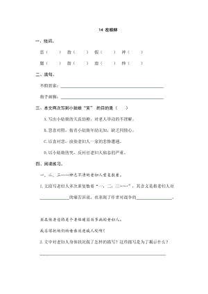 部編版小學語文六年級上冊14在柏林課時練習題（含答案）.doc