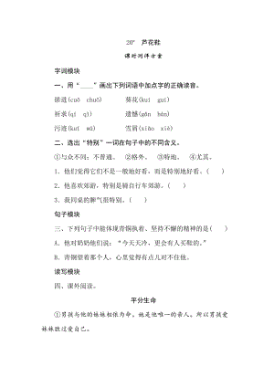 四年級(jí)下冊(cè)語(yǔ)文試題-20蘆花鞋課時(shí)測(cè)評(píng)卷人教部編版含答案.doc
