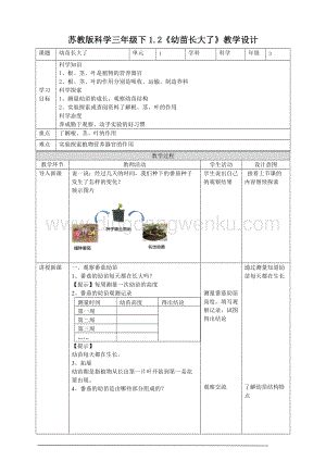 蘇教版（2020）科學三年級下1.2幼苗長大了教案.doc