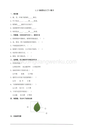 蘇教版（2020）科學三年級下1.2幼苗長大了練習.doc