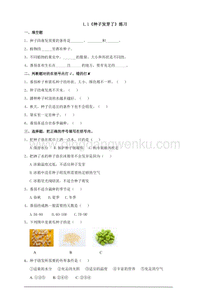 蘇教版（2020）科學(xué)三年級下1.1《種子發(fā)芽了》練習(xí).doc