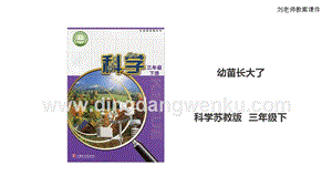 蘇教版（2020）科學(xué)三年級下1.2《幼苗長大了》課件+教案+練習(xí)+素材.ppt