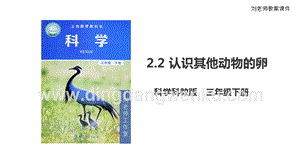 2020版教科版三年級下冊科學2.2認識其他動物的卵（課件）.ppt