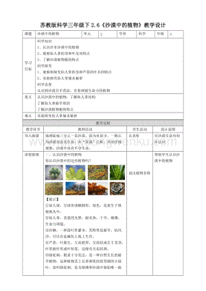 蘇教版（2020）科學三年級下2.6沙漠中的植物教案.doc