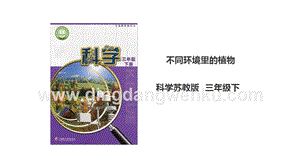 蘇教版（2020）科學(xué)三年級下2.5《不同環(huán)境里的植物》課件.ppt