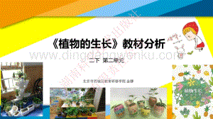 湘科版小學(xué)科學(xué)二年級下冊第二單元植物的生長.pdf