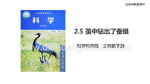 2020版教科版三年級下冊科學2.5繭中鉆出了蠶蛾（課件）.ppt
