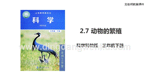 2020版教科版三年級下冊科學2.7 動物的繁殖（課件）.ppt