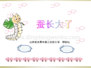 教科版三年級下冊科學蠶長大了教學課件.pptx