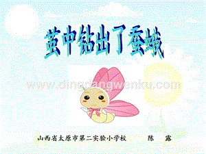教科版三年級下冊科學繭中鉆出了蠶蛾教學課件.pptx