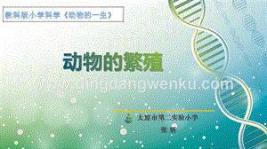 教科版三年級下冊科學動物的繁殖教學課件.pptx