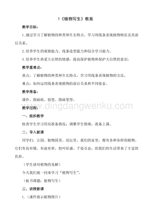 人美版小學美術四年級下冊1植物寫生教案.doc
