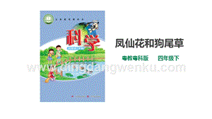 粵教粵科版小學科學四下第一單元第3課時《鳳仙花和狗尾草》課件.ppt