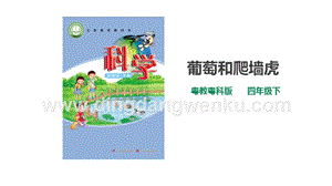 粵教粵科版小學科學四下第一單元第4課時《葡萄和爬墻虎》課件.ppt