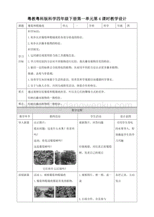 粵教粵科版小學科學四下第一單元第4課時《葡萄和爬墻虎》教案.doc