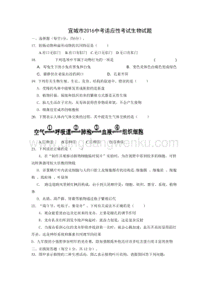 9.湖北省宜城市中考適應性考試理綜生物試題（有答案）_試題_試卷.doc