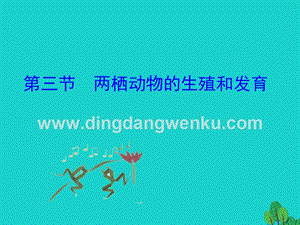 八年級生物下冊 7.1.3 兩棲動物的生殖和發育課件.ppt