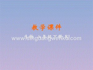 人教版八年級下冊生物第一節基因控制生物的性狀教學課件.pptx