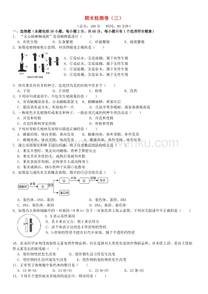 人教版初中生物八年級下學(xué)期期末檢測卷三附答案.doc