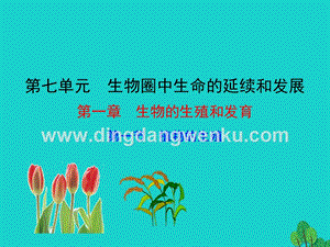 八年級生物下冊7.1.1植物的生殖課件.ppt