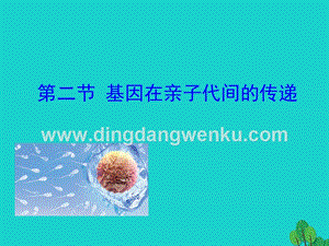 人教版八年級下冊生物7.2.2基因在親子代間的傳遞課件.ppt