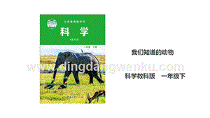 教科版一年級下冊科學(xué)2.1我們知道的動物課件.ppt