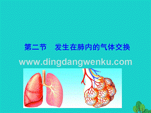人教版七年級下冊生物4.3.2發生在肺內的氣體交換課件.ppt