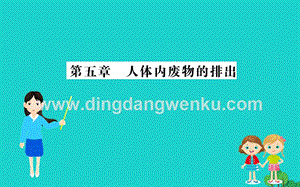 人教版七年級(jí)下冊(cè)生物4.5人體內(nèi)廢物的排出習(xí)題課件.ppt