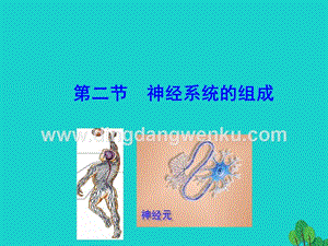 人教版七年級下冊生物4.6.2神經系統(tǒng)的組成課件.ppt