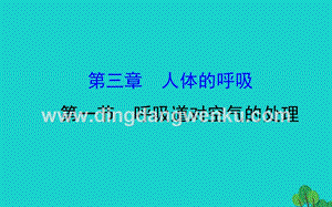 人教版七年級下冊生物4.3.1呼吸道對空氣的處理習題課件.ppt