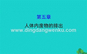 人教版七年級(jí)下冊(cè)生物4.5人體內(nèi)廢物的排出習(xí)題PPT課件.ppt