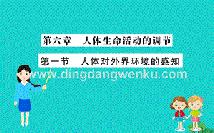 人教版七年級下冊生物4.6.1人體對外界環境的感知習題PPT課件.ppt