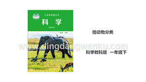 教科版一年級(jí)下冊(cè)科學(xué)2.6給動(dòng)物分類課件.ppt