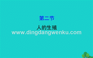 人教版七年級下冊生物4.1.2人的生殖習題課件.ppt
