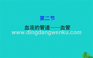 人教版七年級下冊生物4.4.2血流的管道血管習題課件.ppt
