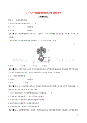 人教版七年級下冊生物4.5人體內廢物的排出課三練提能培優.doc
