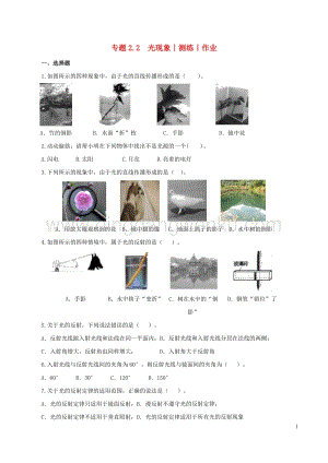 2020年中考物理知識精選專題2.2光現(xiàn)象測練和作業(yè) 附答案.doc