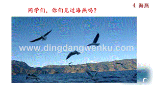 部編版九年級(jí)下冊(cè)語文4 海燕 教學(xué)課件.pptx
