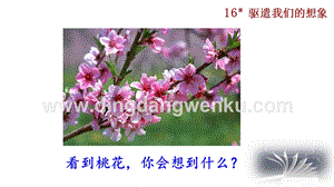 部編版九年級(jí)下冊(cè)語文16 驅(qū)遣我們的想象 教學(xué)課件.pptx
