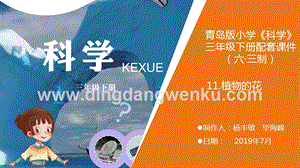 青島版（六三制）小學科學三年級下冊11.《植物的花》教學課件.ppt
