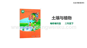 粵教粵科版小學(xué)科學(xué)三下第一單元第3課時《土壤與植物》課件.ppt