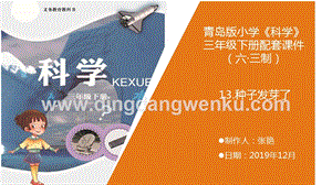 青島版（六三制）小學科學三年級下冊13.《種子發芽了》教學課件.pptx