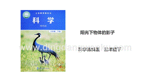教科版三年級下冊科學3.2《陽光下物體的影子》課件.ppt