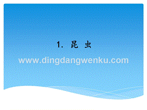 湘科版三年級上冊科學課件－2.1昆蟲(共11張PPT).ppt