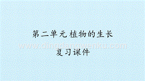 湘科版二年級下冊科學課件-第二單元植物的生長復習課件(共13張PPT).pptx