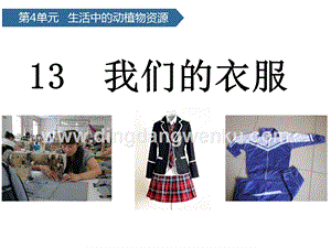 青島版（六三制）二年級上冊科學(xué)課件-第13課我們的衣服(共11張PPT).pptx