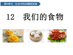 青島版（六三制）二年級上冊科學課件-第12課我們的食物(共12張PPT).pptx